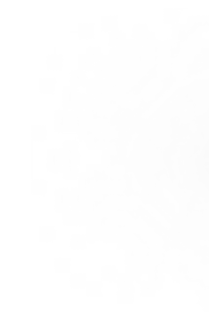 Decorative blurred background image