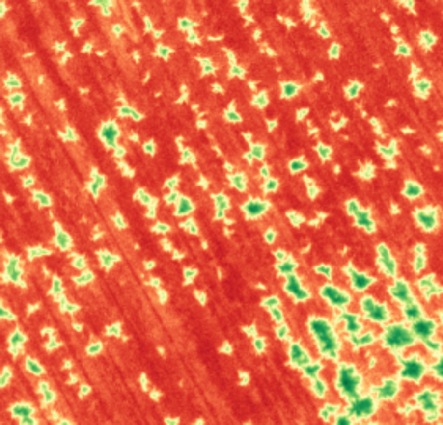 NDVI